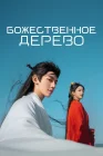  В Сендае растут деревья Божественное дерево / Love of the Divine Tree / Sendai Tree смотреть онлайн сериал 1 сезон 