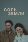  Соль земли смотреть онлайн сериал 1 сезон 