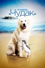  По кличке «Чудак» Чудак смотреть онлайн (2015) 