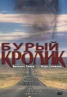  Бурый кролик смотреть онлайн (2003) 