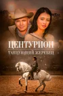  Центурион: Танцующий жеребец смотреть онлайн (2020) 