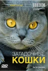  BBC: Загадочные кошки смотреть онлайн (2002) 