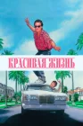  Красивая жизнь смотреть онлайн (1990) 