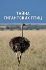  Тайна гигантских птиц смотреть онлайн (2024) 