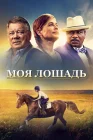  Моя лошадь смотреть онлайн (2016) 