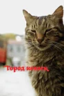  Город кошек смотреть онлайн (2016) 