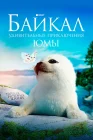  Байкал. Удивительные приключения Юмы смотреть онлайн (2019) 