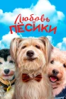  Любовь и пёсики смотреть онлайн (2023) 