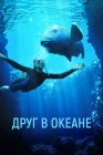  Друг в океане Друг в океане смотреть онлайн (2023) 