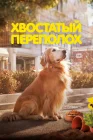  Хвостатый переполох смотреть онлайн (2024) 