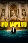  Мой Марчелло смотреть онлайн (2024) 