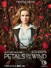  Лепестки на ветру смотреть онлайн (2014) 