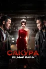  Сакура смотреть онлайн (2024) 